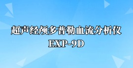 超声经颅多普勒血流分析