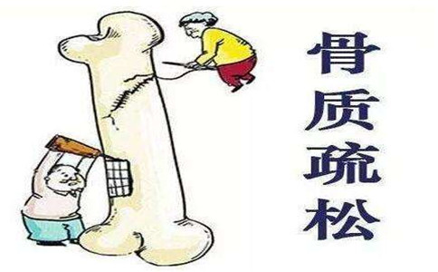 超声骨密度分析仪